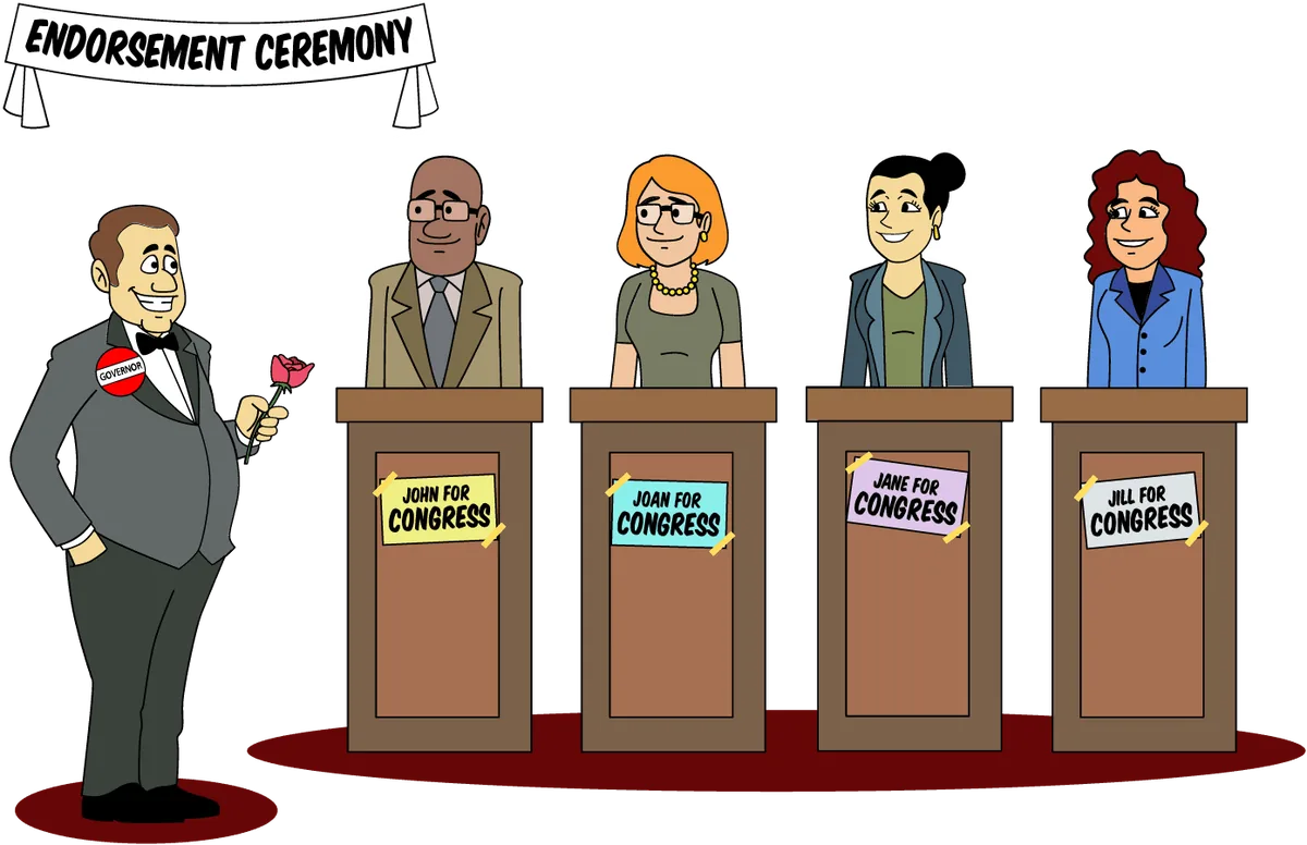 Primary Election Strategies